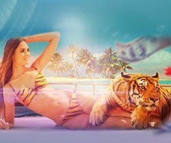 Играть в Адмирале с бонусами Бонусы Адмирал